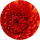 jayme friel profile picture